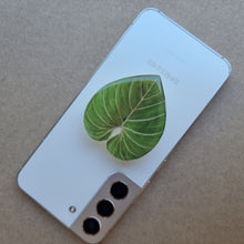 Load image into Gallery viewer, #O PHILODENDRON GLORIOSUM POP SOCKET / PHONE GRIP
