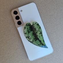 Load image into Gallery viewer, #F SCINDAPSUS POP SOCKET / PHONE GRIP