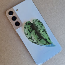 Load image into Gallery viewer, #F SCINDAPSUS POP SOCKET / PHONE GRIP