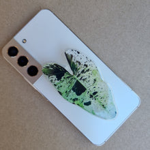 Load image into Gallery viewer, #E PHILODENDRON ILSEMANII POP SOCKET / PHONE GRIP