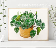 Load image into Gallery viewer, Watermelon Peperomia - A3 Print