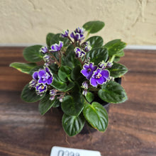 Load image into Gallery viewer, #D999 African Violet Frosted Denim