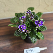 Load image into Gallery viewer, #D999 African Violet Frosted Denim