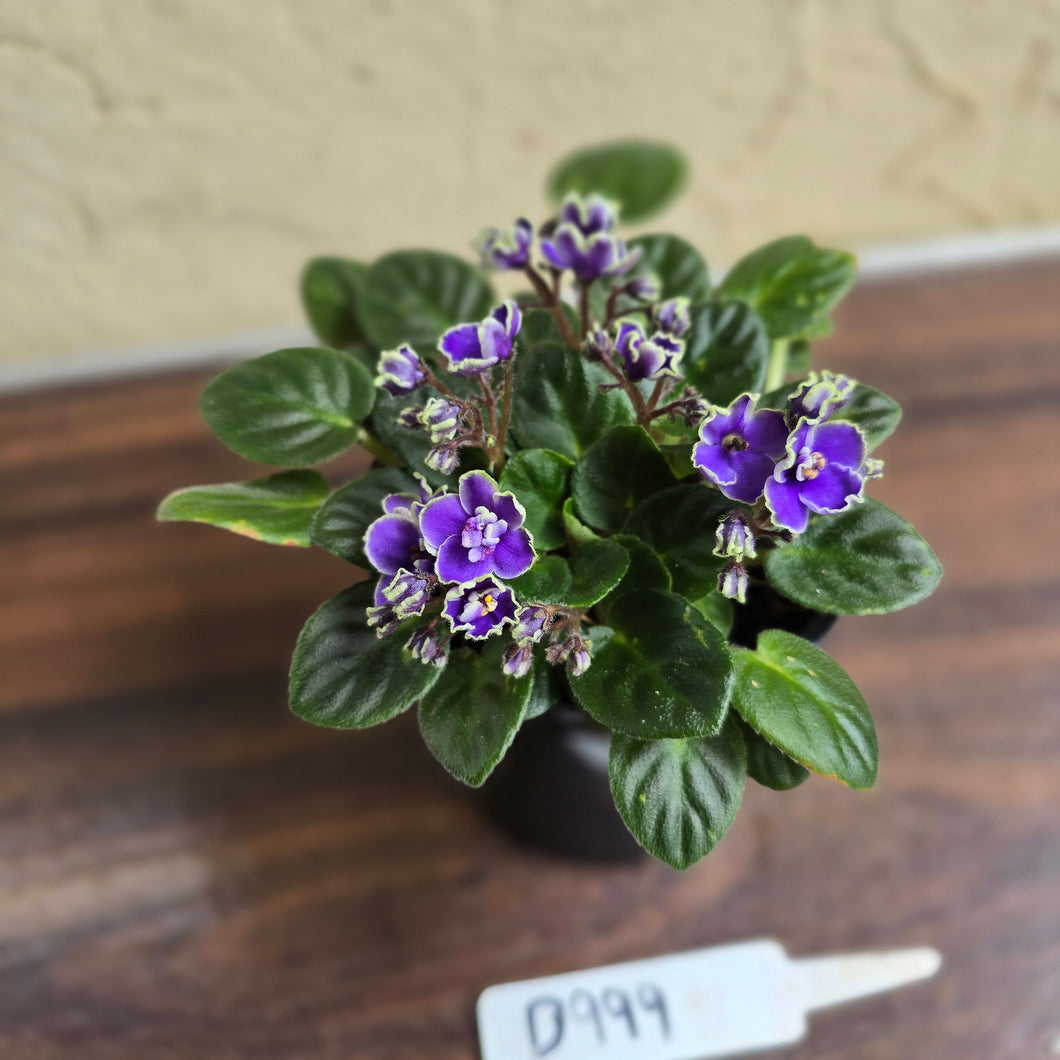 #D999 African Violet Frosted Denim