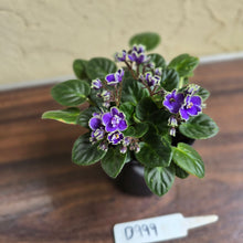 Load image into Gallery viewer, #D999 African Violet Frosted Denim