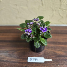 Load image into Gallery viewer, #D999 African Violet Frosted Denim