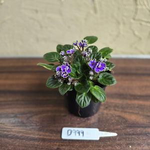 #D999 African Violet Frosted Denim