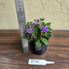Load image into Gallery viewer, #D999 African Violet Frosted Denim