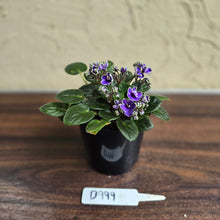 Load image into Gallery viewer, #D999 African Violet Frosted Denim