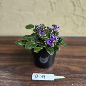 #D999 African Violet Frosted Denim