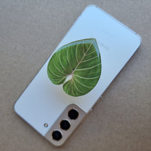 Load image into Gallery viewer, #O PHILODENDRON GLORIOSUM POP SOCKET / PHONE GRIP