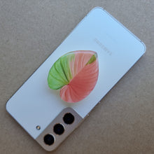 Load image into Gallery viewer, #N HOMALOMENA POP SOCKET / PHONE GRIP