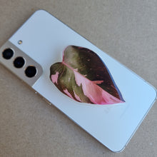 Load image into Gallery viewer, #I PHILODENDRON PINK PRINCESS POP SOCKET / PHONE GRIP