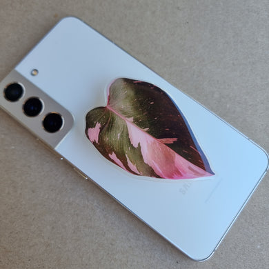 #I PHILODENDRON PINK PRINCESS POP SOCKET / PHONE GRIP