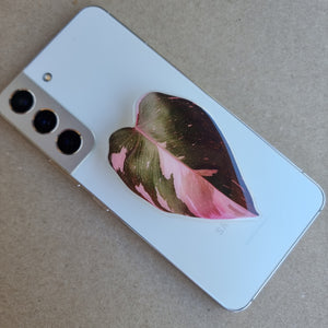 #I PHILODENDRON PINK PRINCESS POP SOCKET / PHONE GRIP