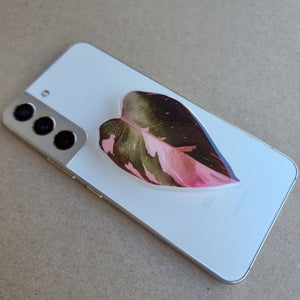 #I PHILODENDRON PINK PRINCESS POP SOCKET / PHONE GRIP