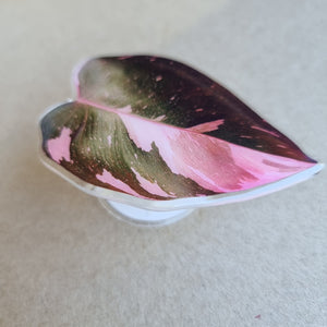 #I PHILODENDRON PINK PRINCESS POP SOCKET / PHONE GRIP