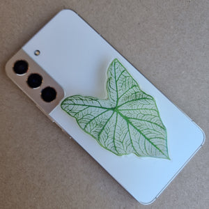 #H CALADIUM POP SOCKET / PHONE GRIP