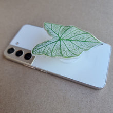 Load image into Gallery viewer, #H CALADIUM POP SOCKET / PHONE GRIP