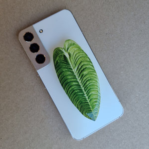 #G ANTHURIUM VEITCHII POP SOCKET / PHONE GRIP