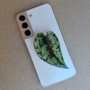 #F SCINDAPSUS POP SOCKET / PHONE GRIP