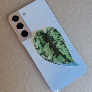 #F SCINDAPSUS POP SOCKET / PHONE GRIP