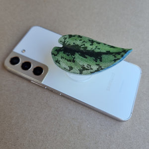 #F SCINDAPSUS POP SOCKET / PHONE GRIP