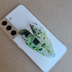 #E PHILODENDRON ILSEMANII POP SOCKET / PHONE GRIP