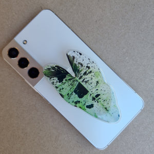 #E PHILODENDRON ILSEMANII POP SOCKET / PHONE GRIP