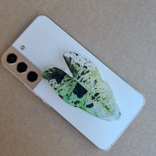 Load image into Gallery viewer, #E PHILODENDRON ILSEMANII POP SOCKET / PHONE GRIP