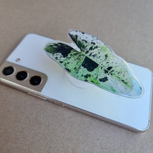 Load image into Gallery viewer, #E PHILODENDRON ILSEMANII POP SOCKET / PHONE GRIP