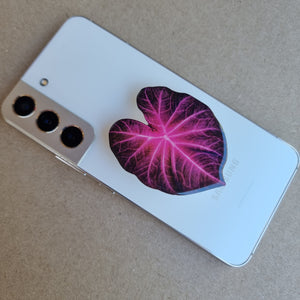 #C Caladium POP SOCKET / PHONE GRIP