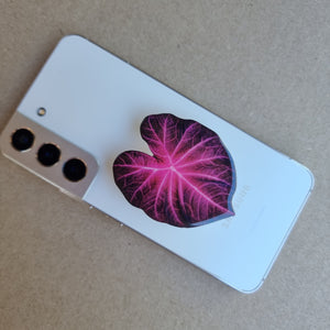 #C Caladium POP SOCKET / PHONE GRIP