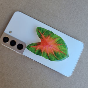 #A CALADIUM POP SOCKET / PHONE GRIP