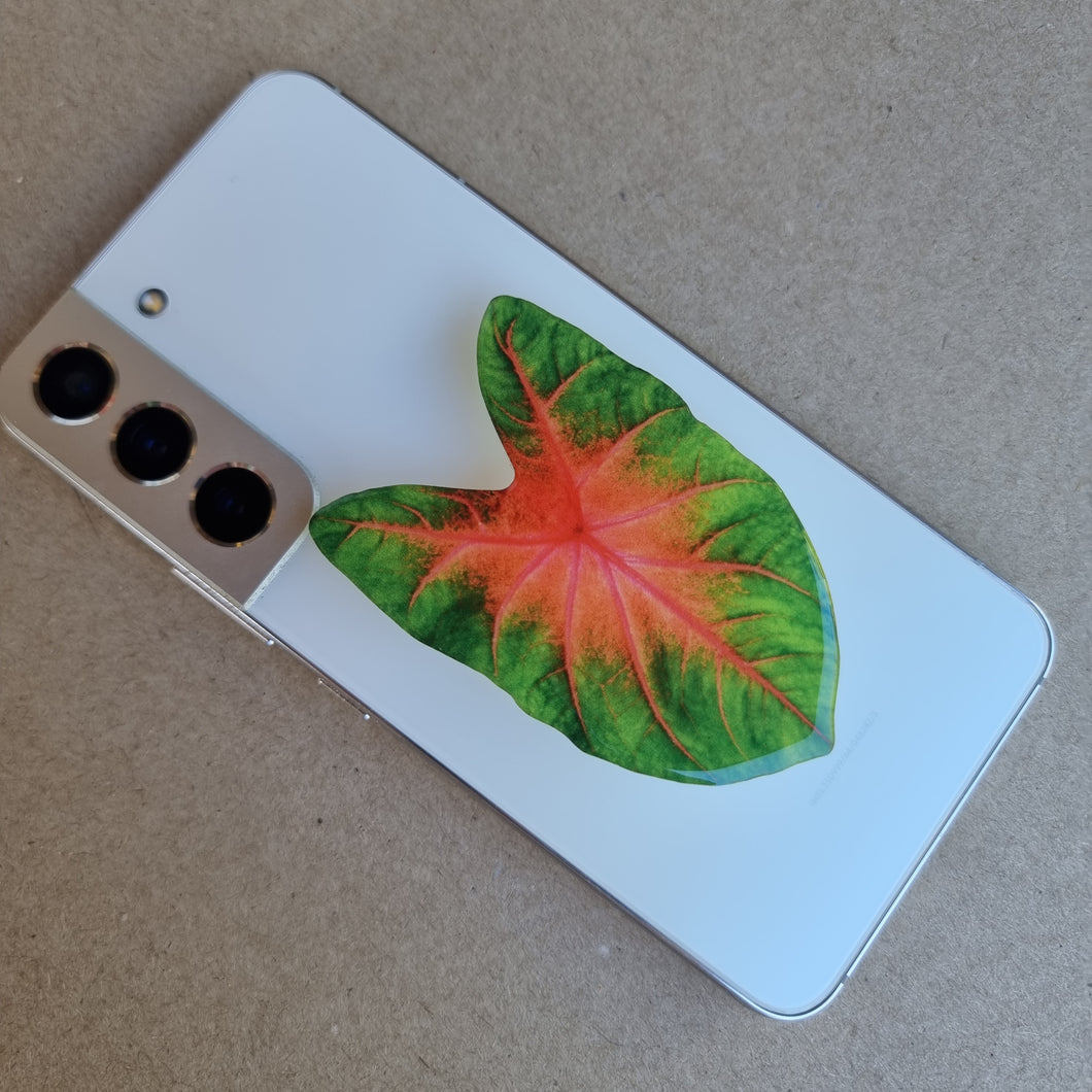 #A CALADIUM POP SOCKET / PHONE GRIP