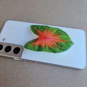 #A CALADIUM POP SOCKET / PHONE GRIP