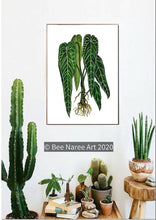 Load image into Gallery viewer, Anthurium Warocqueanum - A3 Print